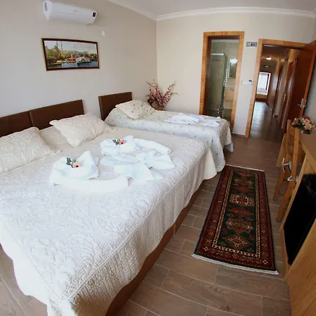 瑟琳娜酒店 2* 塞尔丘克