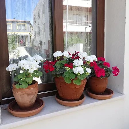 酒店 瑟琳娜酒店