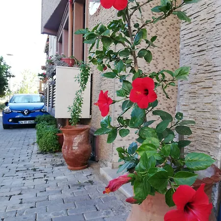 Selena Отель 2*