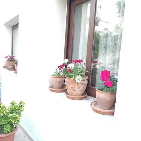 Selena 2* Сельчук